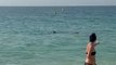 Shark swims around oblivious sea bathers as lifeguard shouts ‘get out’