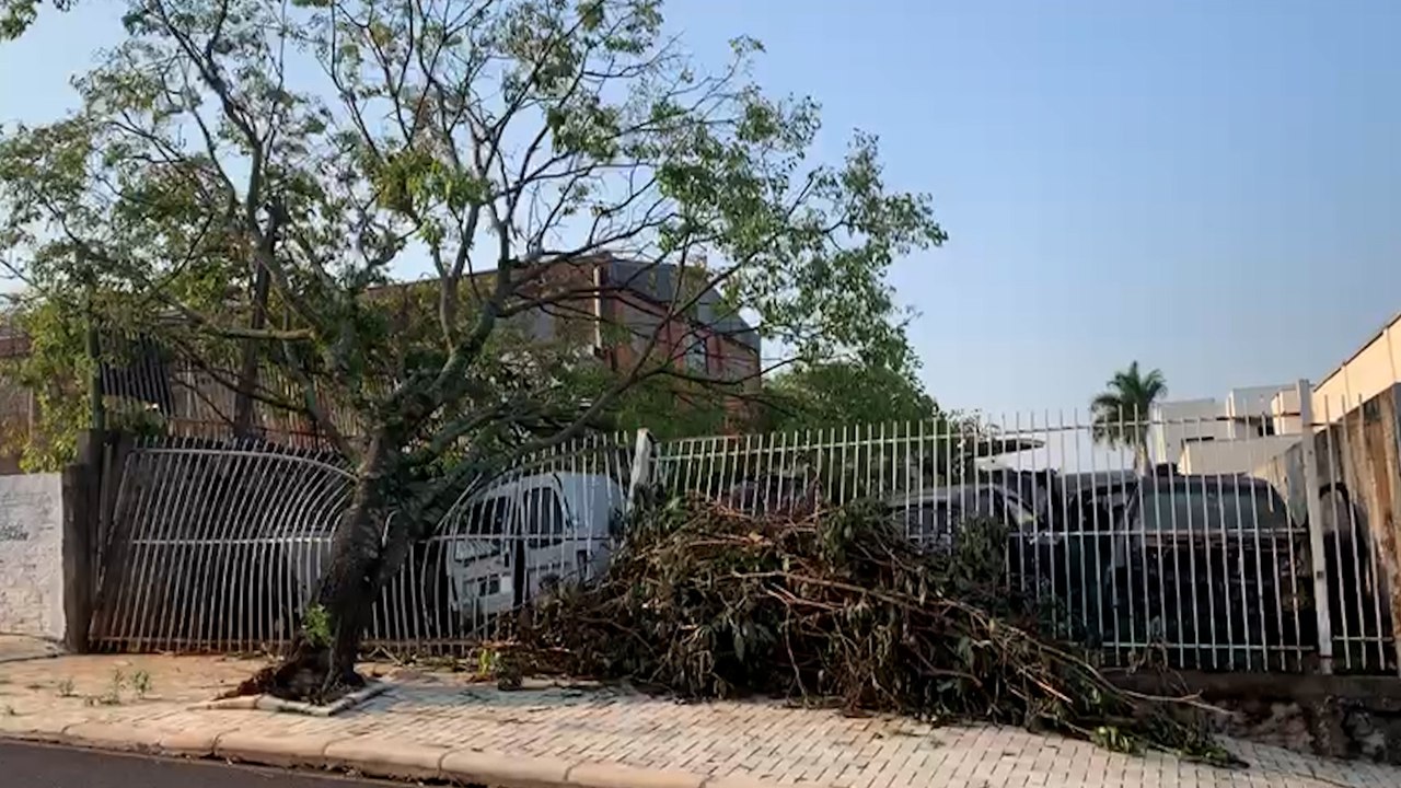 Casas destelhadas e árvores caídas: como está Cascavel após a passagem do tornado