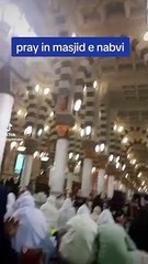Pray in Masjid Nabvi