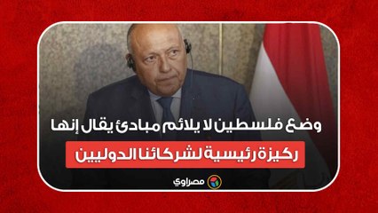 سامح شكري: وضع فلسطين لا يلائم مبادئ يقال إنها ركيزة رئيسية لشركائنا الدوليين