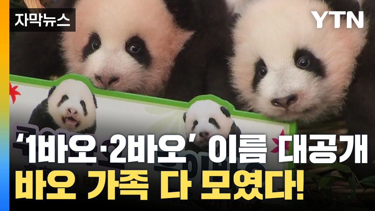 [자막뉴스] 푸바오 쌍둥이 동생 이름 대공개...바오 가족 총출동 현장 / YTN