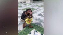 Sırt çantalı sevimli minik maymun