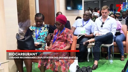 Le 7 minutes du 11 octobre 2023 (édition du 19h)