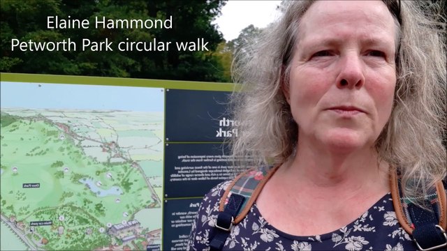 Circular walk in Petworth Park taking in the highest point and both ponds