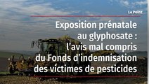 Exposition prénatale au glyphosate : l’avis mal compris du Fonds d’indemnisation des victimes de pesticides