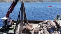 Temizlenen hayalet ağlar ile 2 milyon 750 bin balığın ölümü engellendi -EKİYLE YENİDEN