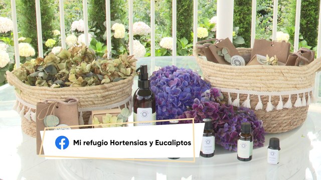 Aceite esencial en hortensias