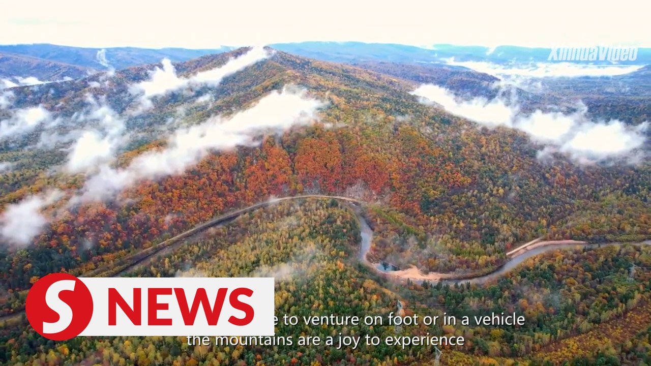 Autumn scenery adorns northeast China forest