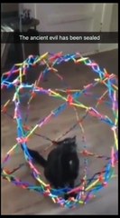 All the entity have been sealed..