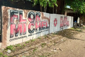 Aparecen bardas de Flor Michel, rumbo a la Gubernatura