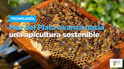 Mar del Plata avanza hacia una apicultura sostenible