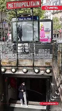 Alerta en varias ciudades del mundo por la plaga de chinches, pequeños insectos que pueden provocar enfermedades