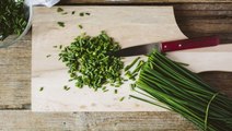 What Are Chives? Get to Know This Perennial Herb's Most Popular Varieties—and Learn How to Use Them