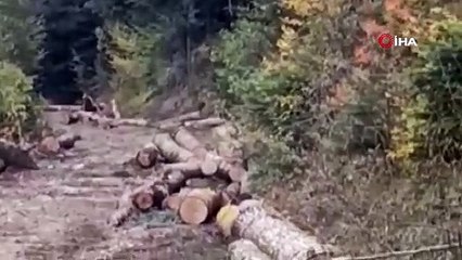 İşçilerin zorlu sınavı! Ayıdan böyle saklandılar