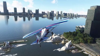 Flight Simulator - Personal Trailer 3