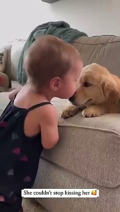 Baby Kisses Puppy_(360P)