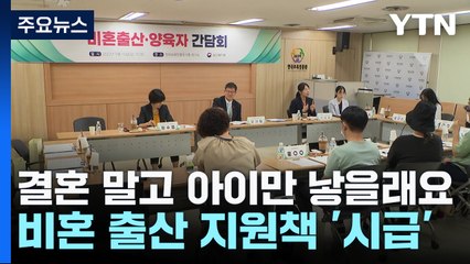 "결혼 말고 아이만 낳을래요"...비혼 출산 지원책 시급 / YTN