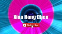 Xiao Hong Chen - Sarah Chen #lyrics #lyricsvideo #singalong