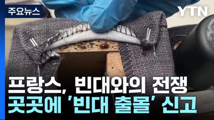 내년 파리 올림픽 앞두고 프랑스, 빈대 퇴치 전쟁 시작 🦗