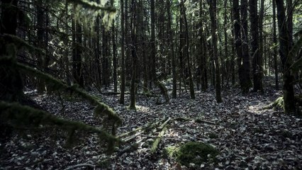 NAILMAN - RETURN OF THE REDEEMER (NAILMAN3) | movie | 2023 | Official Trailer