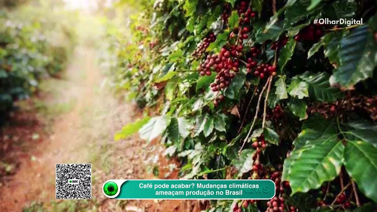 Café pode acabar? Mudanças climáticas ameaç...