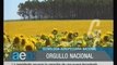 Canal 9 (Bahía Blanca) - Argentina en Noticias + Tanda Publicitaria - 29/02/2012