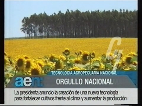 Canal 9 (Bahía Blanca) - Argentina en Noticias + Tanda Publicitaria - 29/02/2012