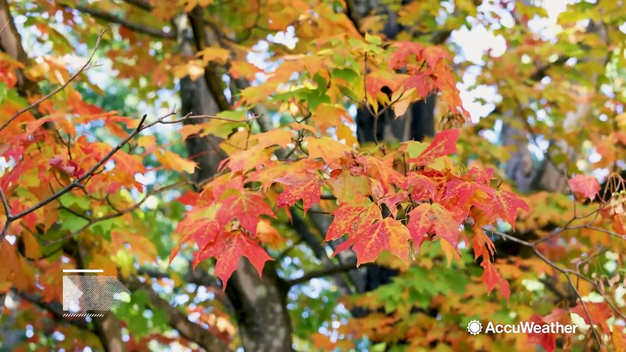 How to avoid catching the flu this fall