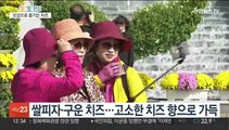 치즈의 매력에 '풍덩'…임실N치즈 축제 개막