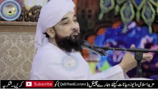 Melad e Mustafa ﷺ | Rabi ul Awal Special  By | Moulana Raza Saqib Mustafai \ Qadri Naat And Lectures