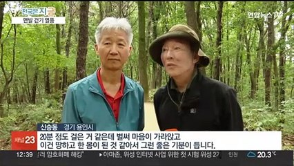 '어싱' 맨발걷기 열풍…곳곳에 황톳길 개장