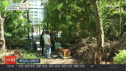 아파트 주민들 스스로 뜻 모았다…길고양이와 공생 모색