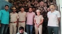 Many people are on the radar of Hanumangarh Police in smuggling of sandalwood worth ten crores