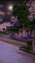 night nature "The Village Atmosphere"