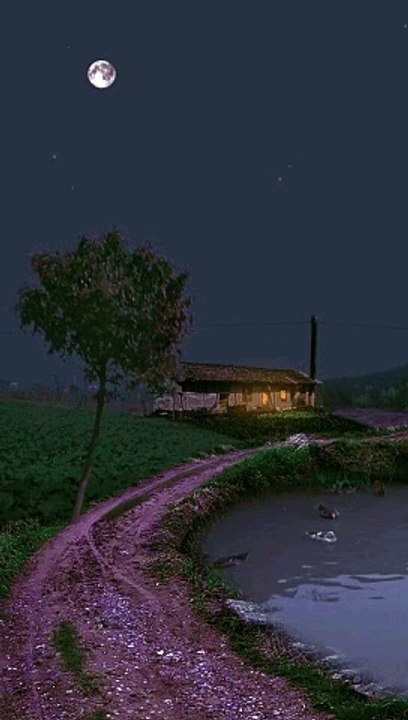 Night Nature, A Night of Splendor: Embracing th...