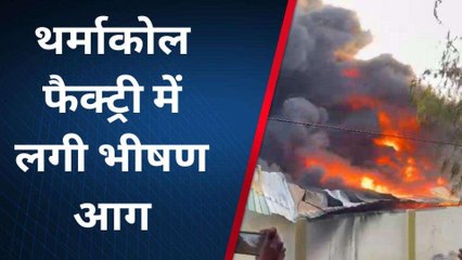 मुरादाबाद: आगरा हाइवे पर थर्माकोल फैक्ट्री में लगी भीषण आग, क्षेत्र में मचा हड़कंप