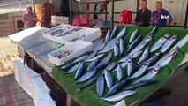 Balık fiyatları cep yaktı, vatandaşlar ilgi göstermedi!