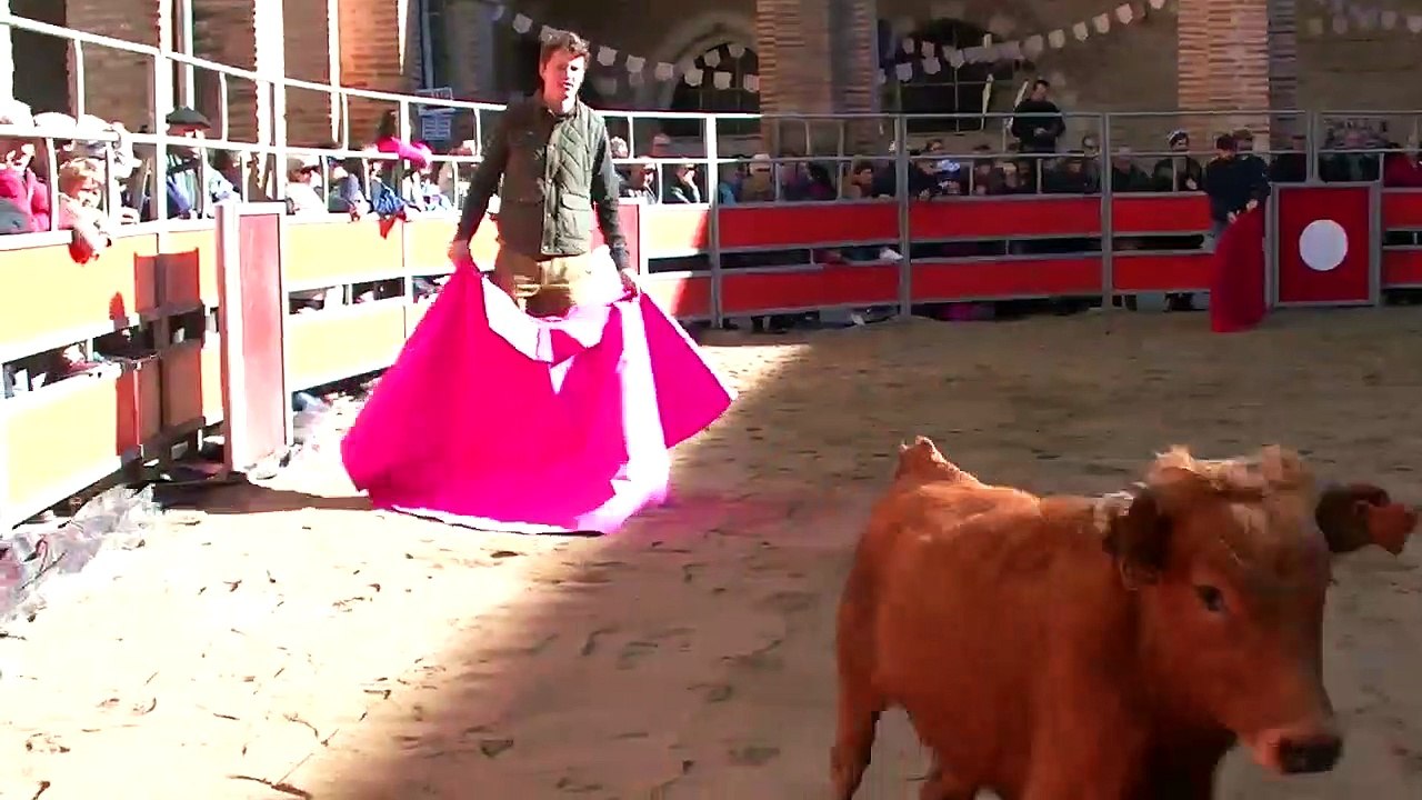 04.11.18 St Sever Jacobins Aubergne Espagnole Bétail JL Deyris 1e Sortie La peña taurine de Mugron  et l'Osmosa