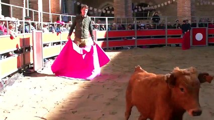 04.11.18 St Sever Jacobins Aubergne Espagnole Bétail JL Deyris 1e Sortie La peña taurine de Mugron  et l'Osmosa