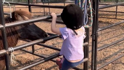 Little girl learns to halter a pony from her mother *Heartwarming Video*