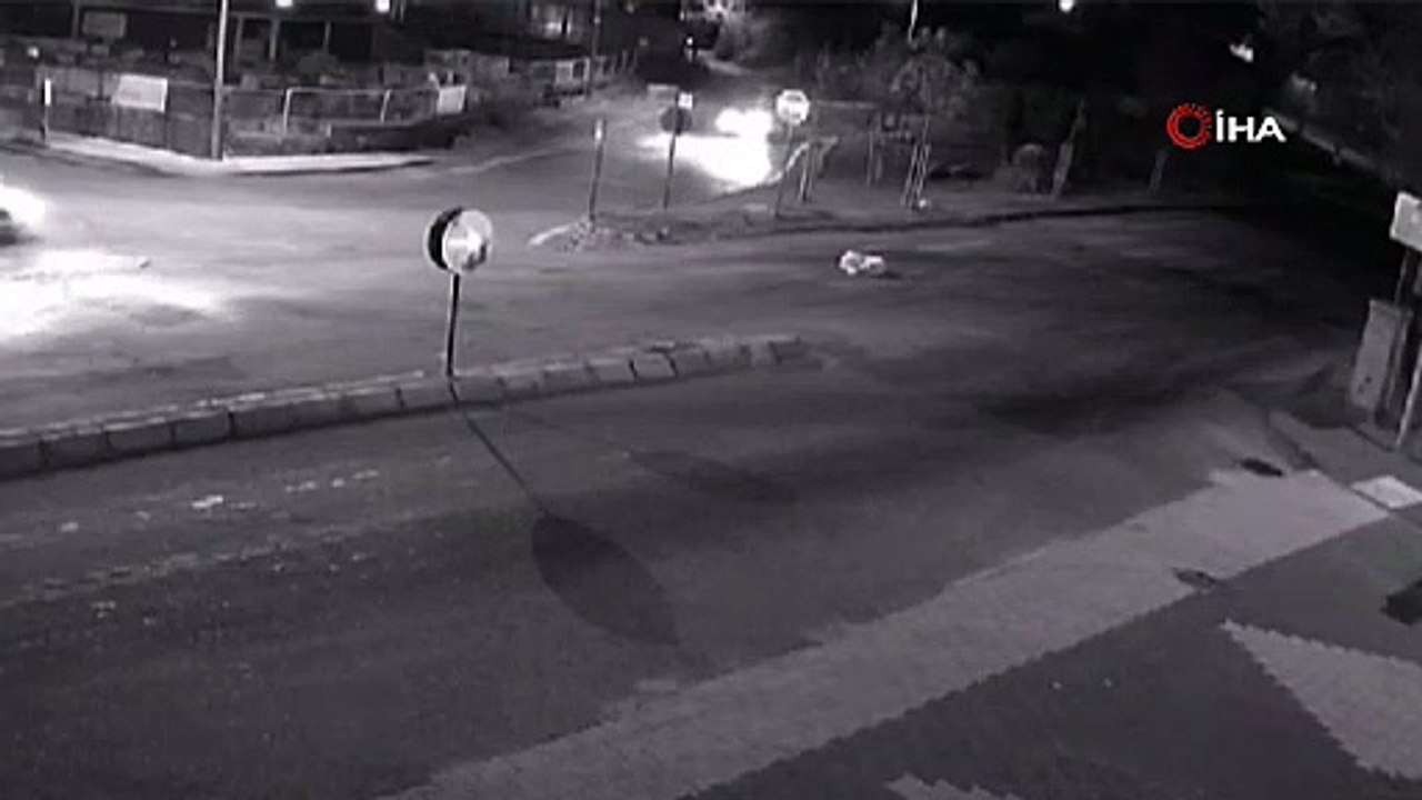 Yerde yatan köpeği ezdi!