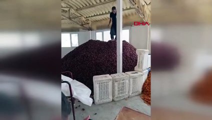 Malatya'da Üreticiye Hijyen Kurallarına Aykırı Çalışma Cezası