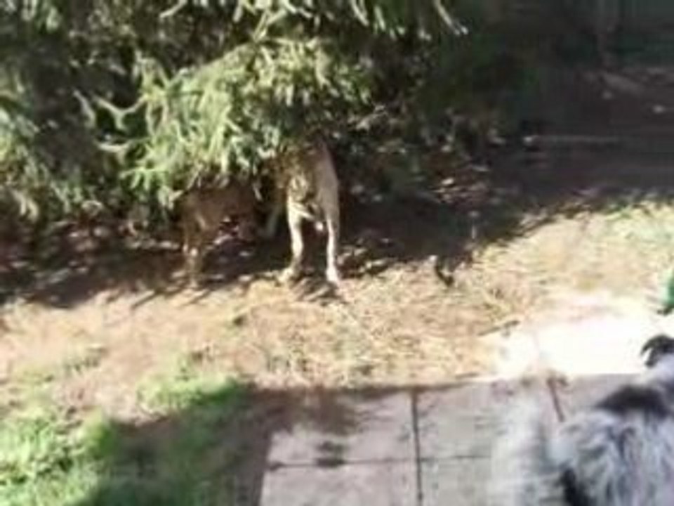 cannelle et tequila 29mars08