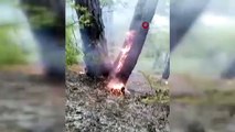 L'incendie dans le canyon Darkdere à Burdur a repris