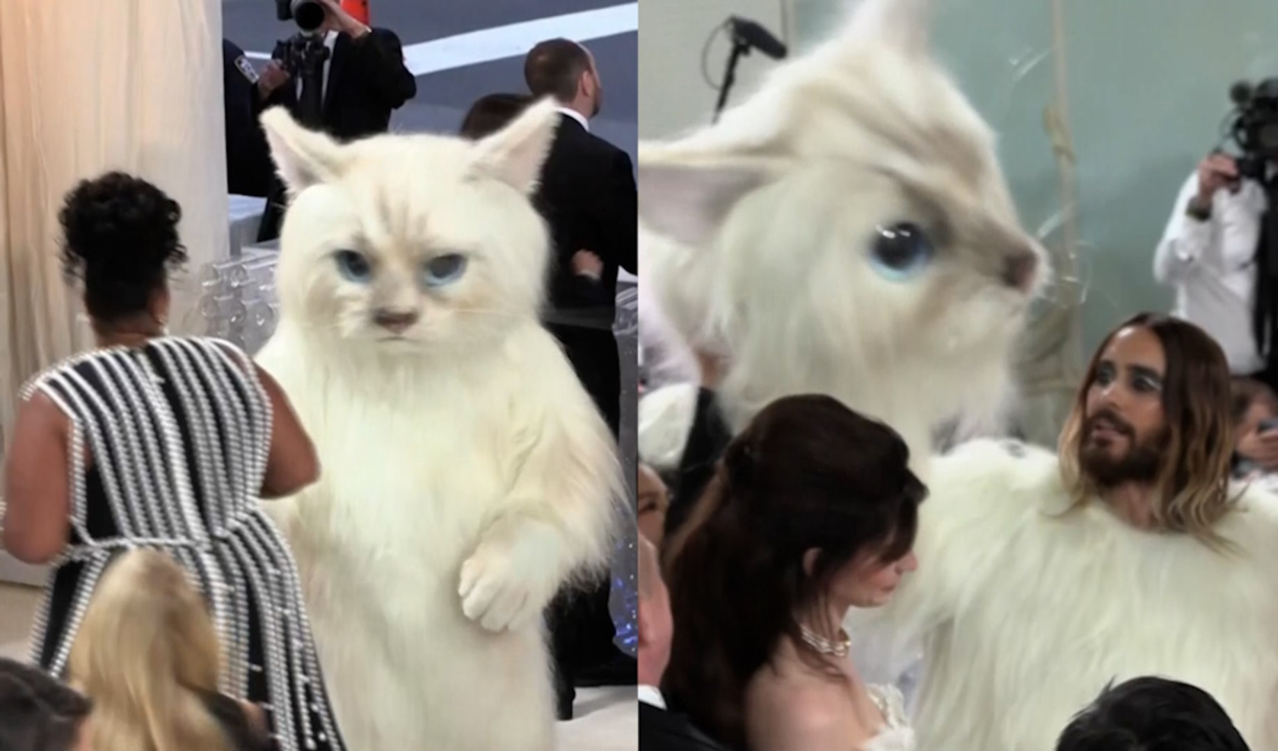 Curiosa imagen durante la Met Gala de Nueva York. El actor Jared Leto caus� furor al aparecer vestido de gato y haciendo preguntarse a todo el mundo de qui�n se trataba. De esta forma ha rendido homenaje al fallecido icono de la moda Karl Lagerfeld. La rapera Doja Cat ha elegido un conjunto de corte similar con el mismo prop�sito. Multitud de celebridades que han acudido a la gala han homenajeado a Lagerfeld con una apuesta com�n por la elegancia.