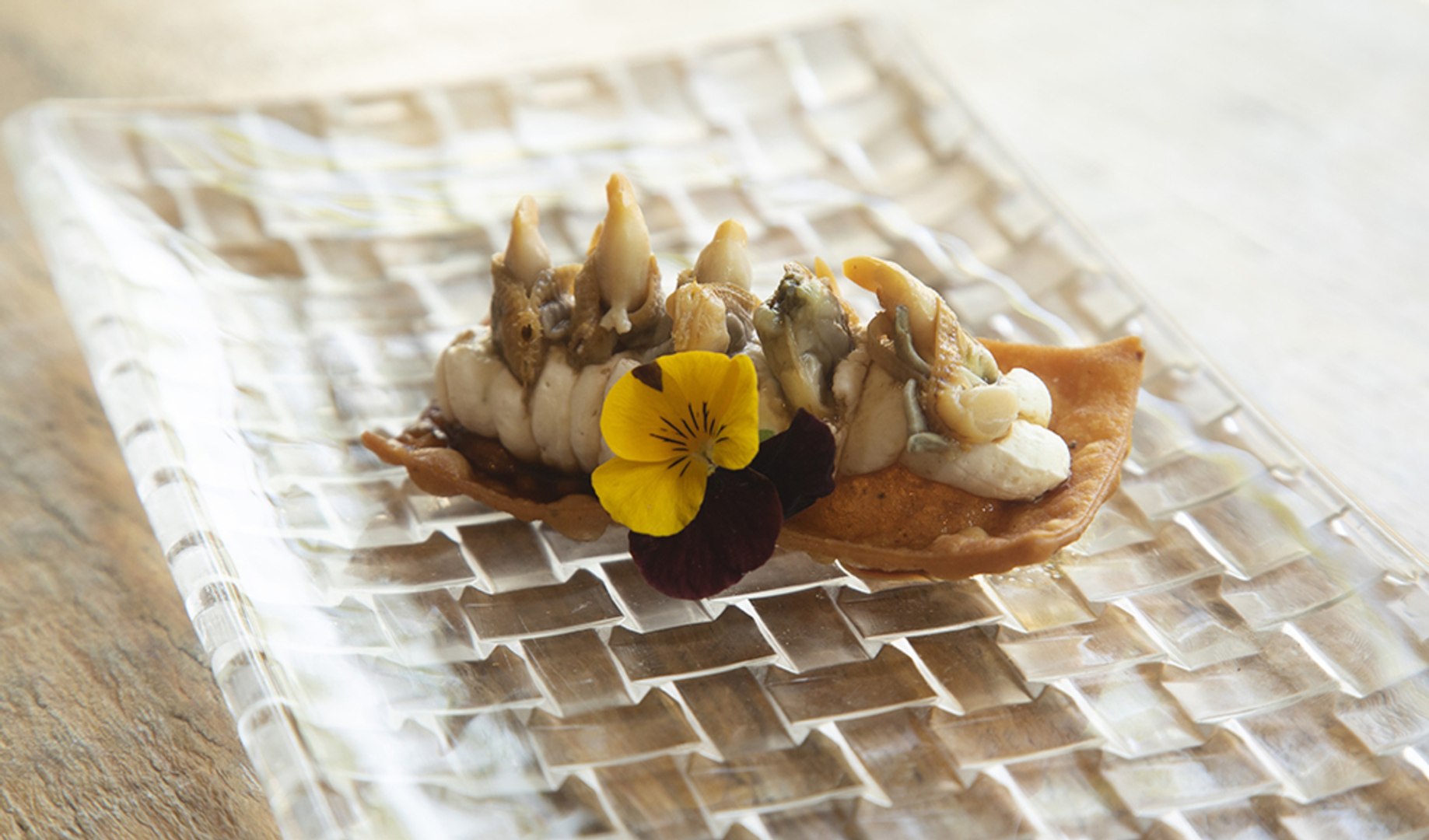 Esta es la mejor tapa de Madrid y se sirve en un bar de Lavapiés