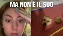 Cane nel pavimento, ma non è il suo