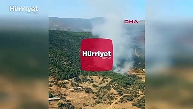 İzmir'in Ödemiş ilçesinde orman yangını