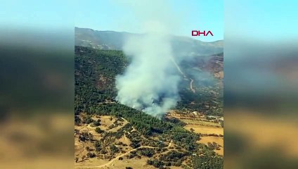 Incendie de forêt à Ödemiş : intervention aérienne et terrestre