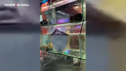 Akvaryumda yaşamak istemeyen vatoz balığının yaptıkları şaşırttı